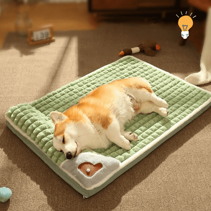 Cama Super Quente para Cachorros de Médio e Pequeno Porte DeepSleepSofa - InnovaShops