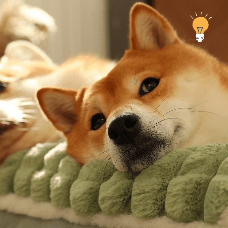 Cama Super Quente para Cachorros de Médio e Pequeno Porte DeepSleepSofa - InnovaShops