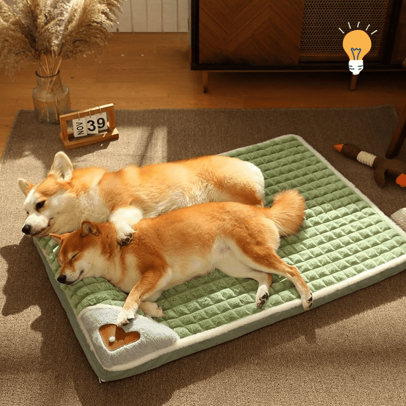 Cama Super Quente para Cachorros de Médio e Pequeno Porte DeepSleepSofa - InnovaShops